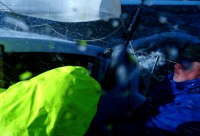 /album/fotogalerie-2016-2-posadka/p1120952-jpg/