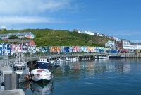 /album/fotogalerie-2016-2-posadka/p1120963-jpg/