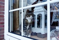 /album/fotogalerie-2016-2-posadka/p1130561-jpg/