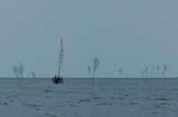 /album/fotogalerie-2016-2-posadka/p1130622-jpg/