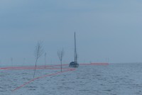 /album/fotogalerie-2016-2-posadka/p1130690-jpg/